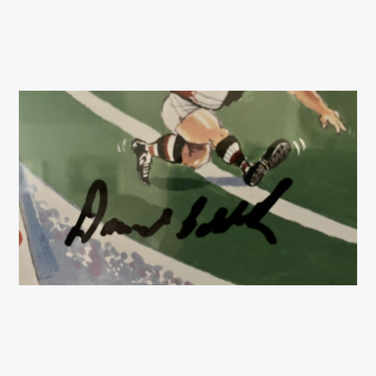 1966 AFL/VFL Premiers