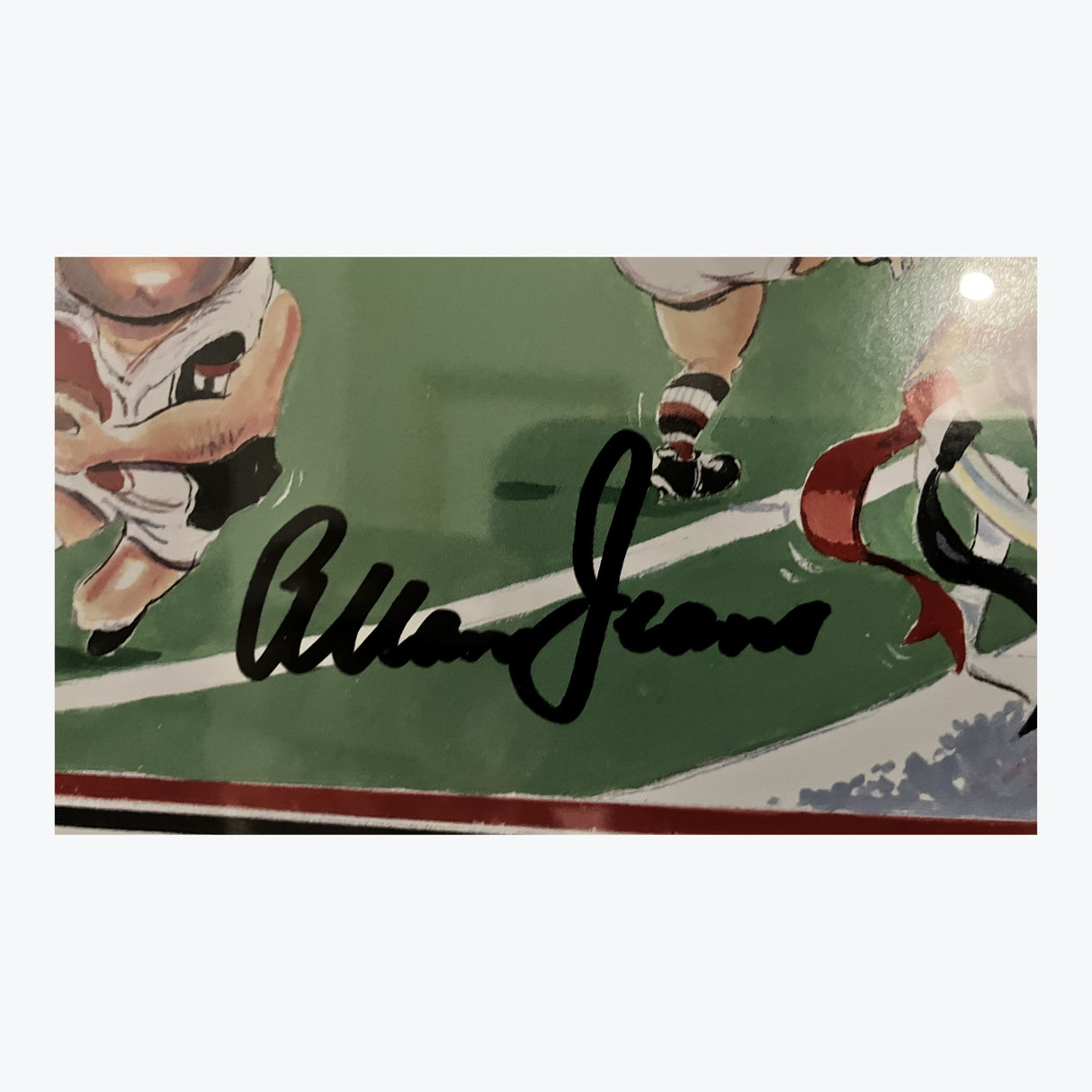 1966 AFL/VFL Premiers