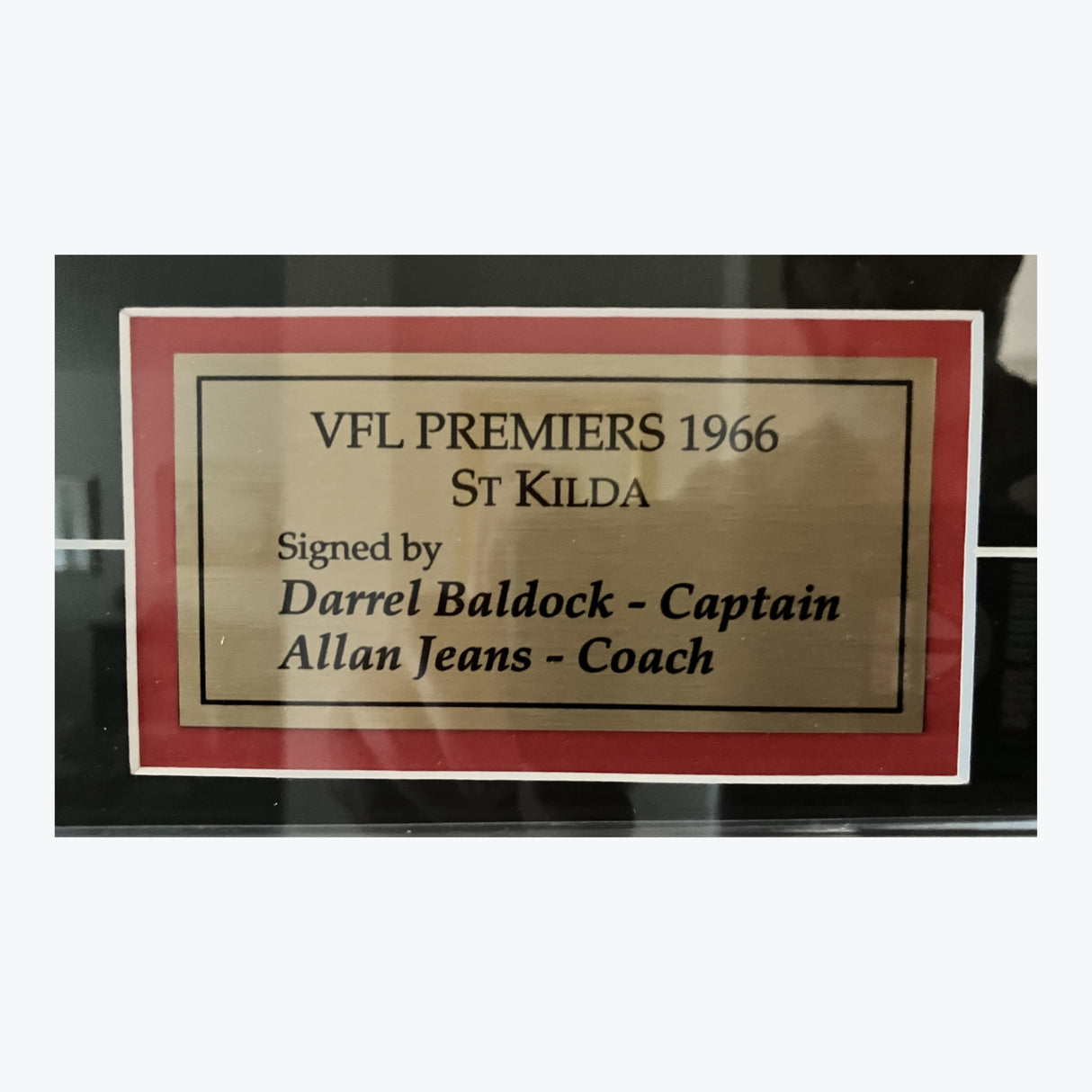 1966 AFL/VFL Premiers