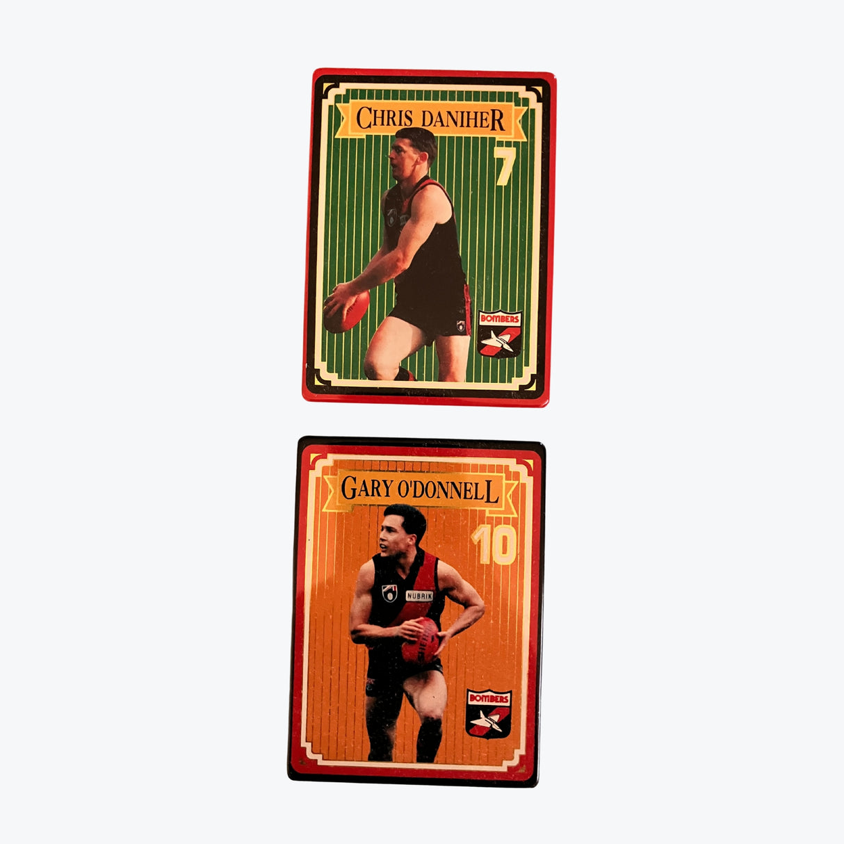 1993 AFL Premiers