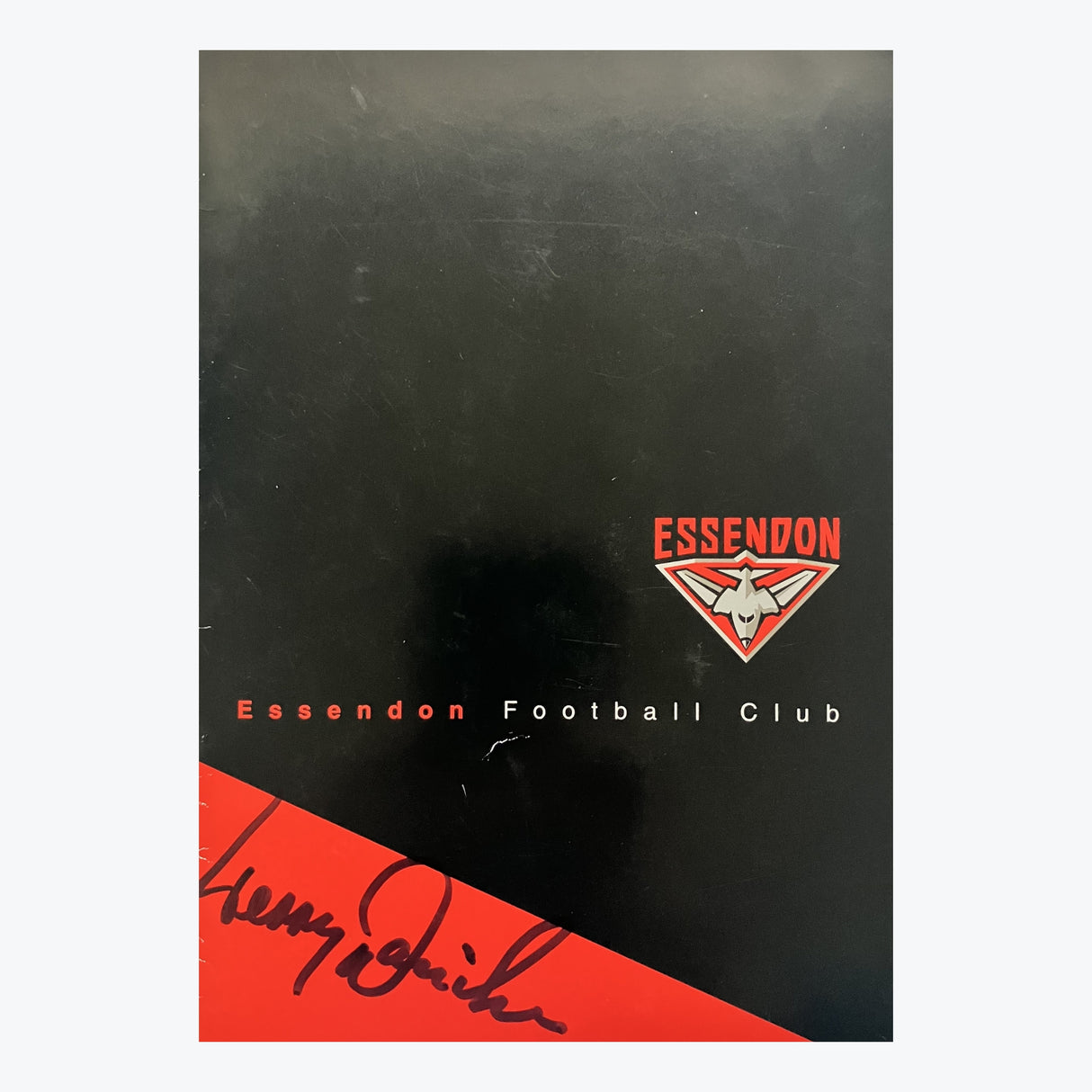 2002 Champions of Essendon