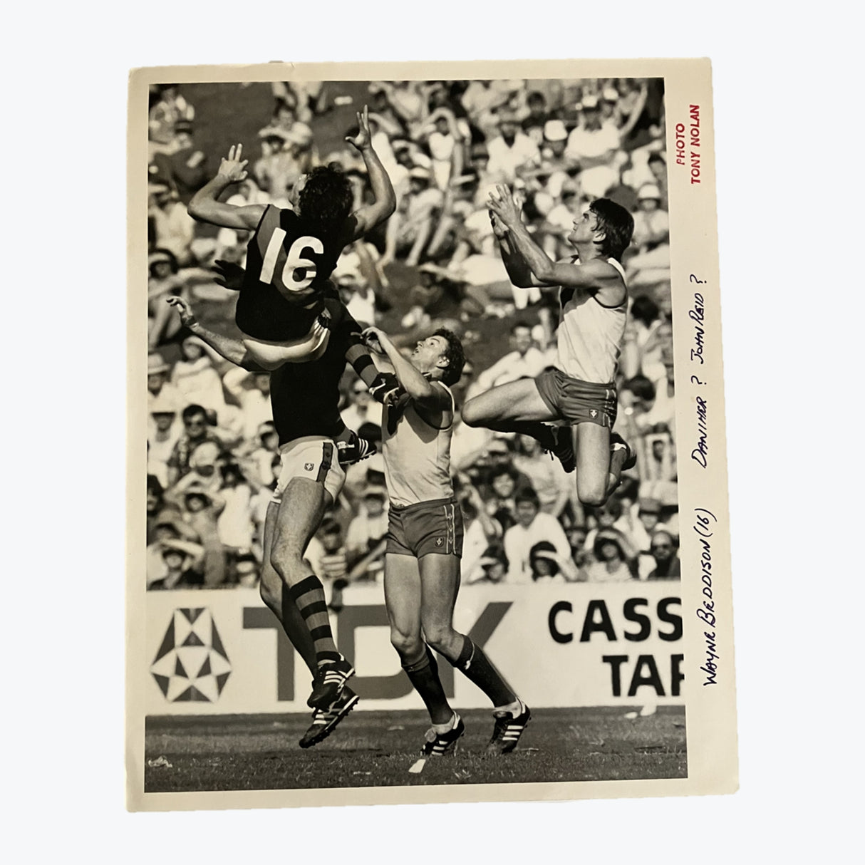 Anthony Daniher and John Reid