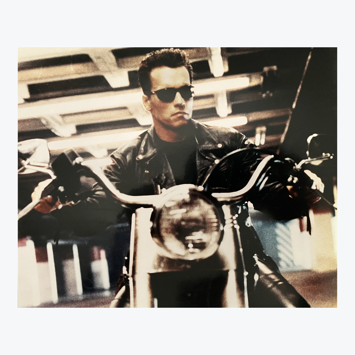 Arnold Schwarzenegger - The Terminator Photo