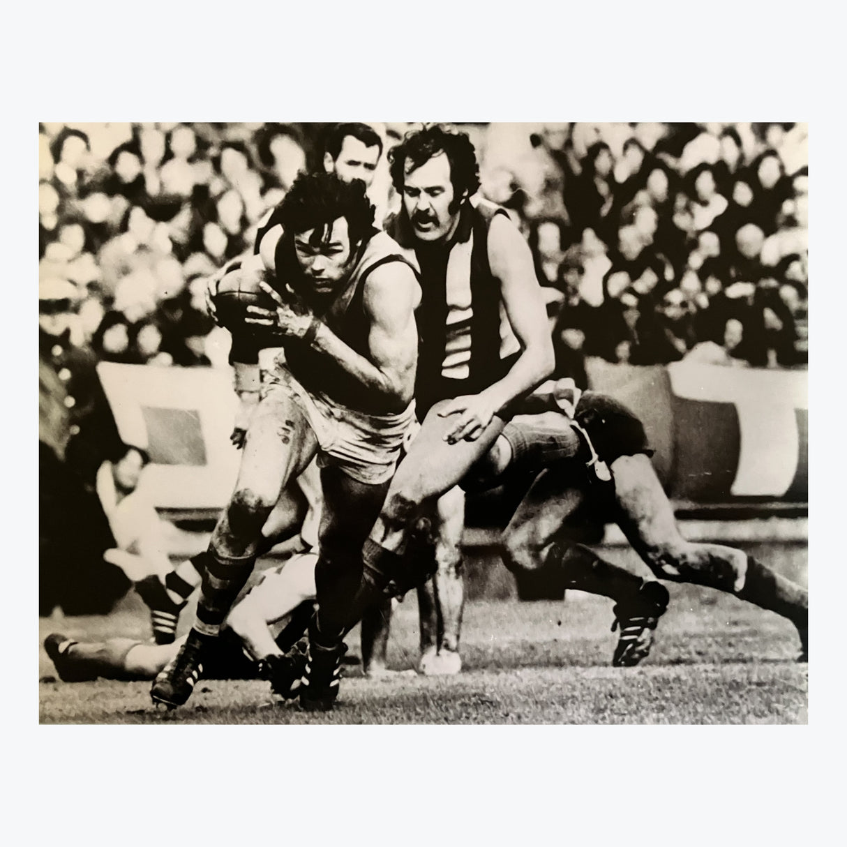 Richmond Tigers - Francis Bourke Photo