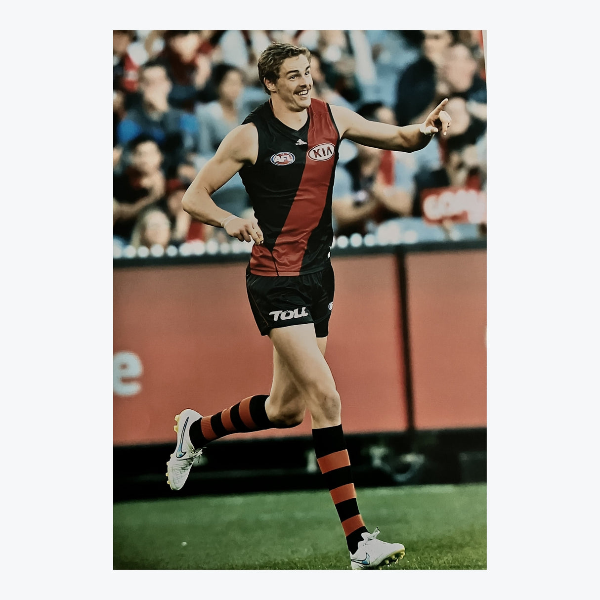Joe Daniher