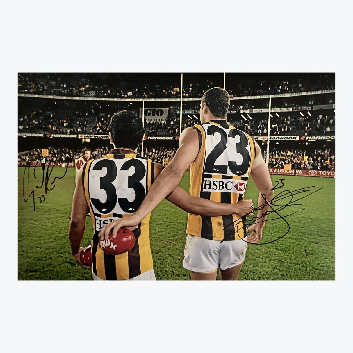 Lance 'Buddy' Franklin and Cyril Rioli