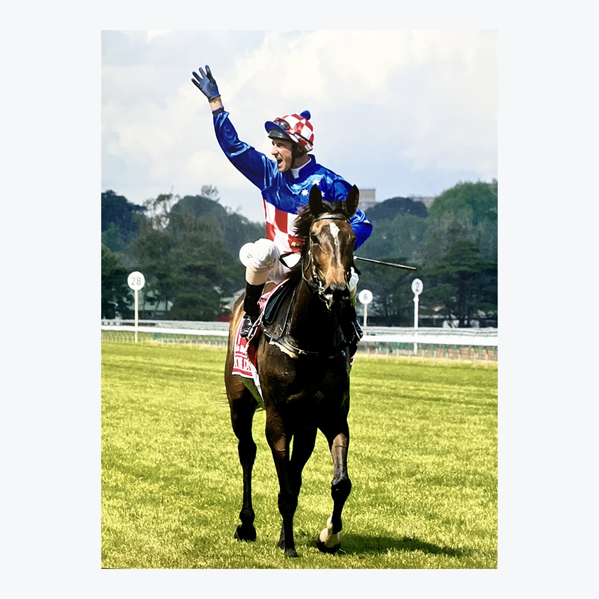 Makybe Diva