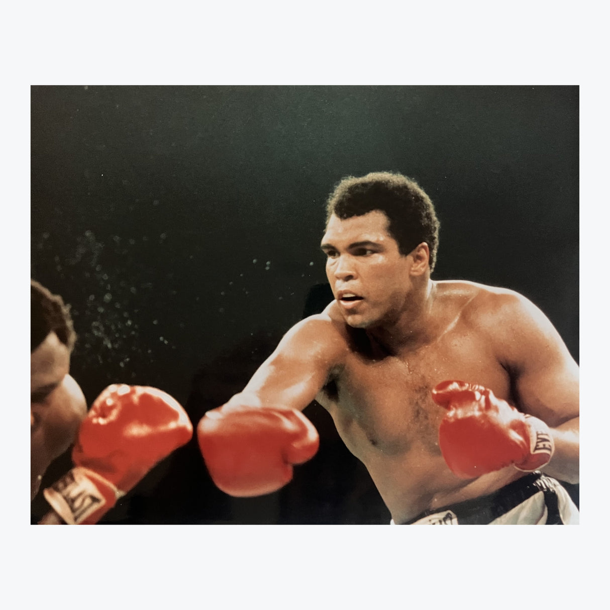 1977 Muhammad Ali vs Ernie Shavers Photo