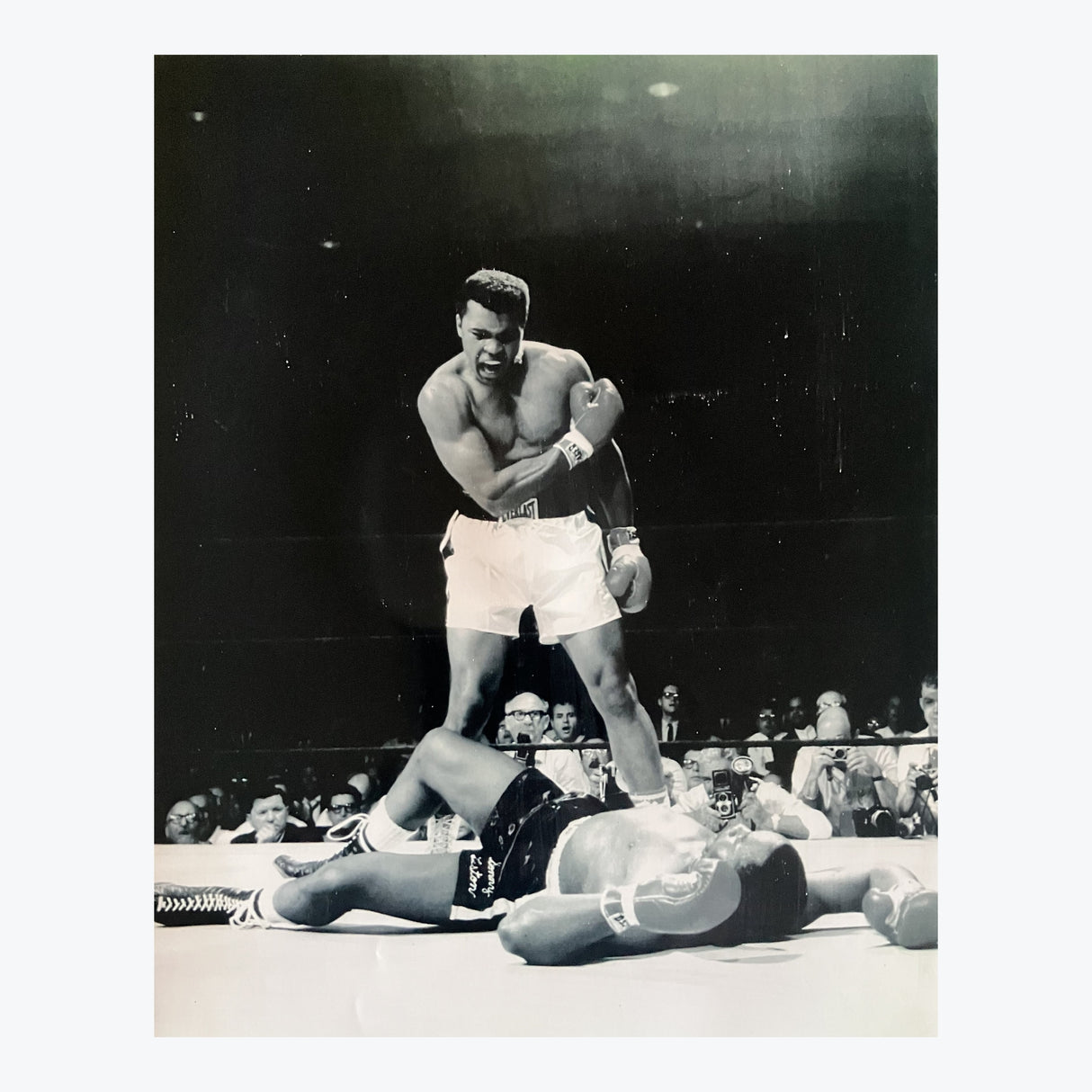 Muhammad Ali 1965 Knock Out