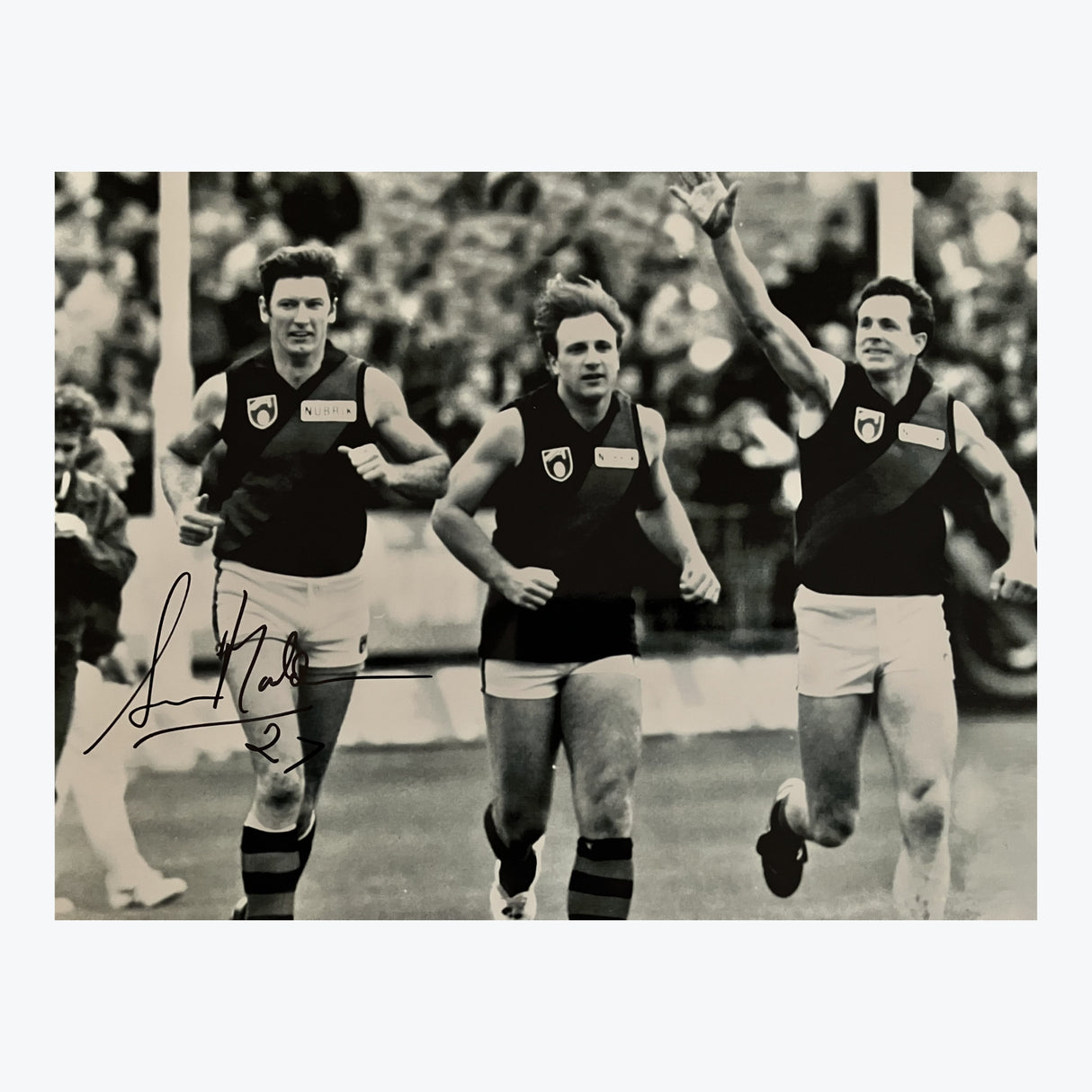 Simon Madden, Tim Watson and Terry Daniher