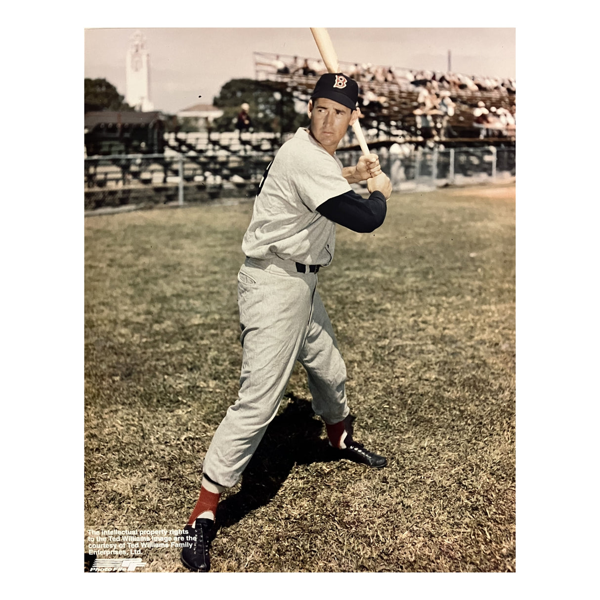 Ted Williams Photo