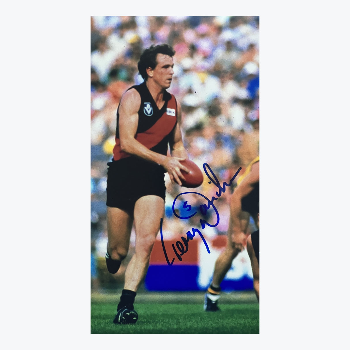 Terry Daniher