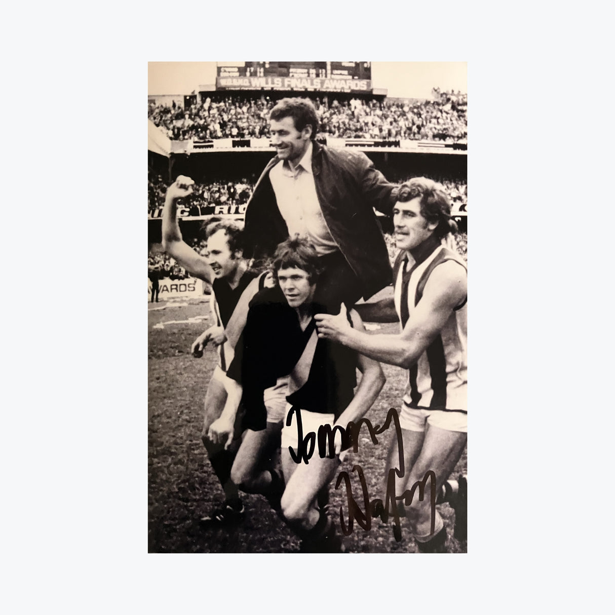 Tom Hafey