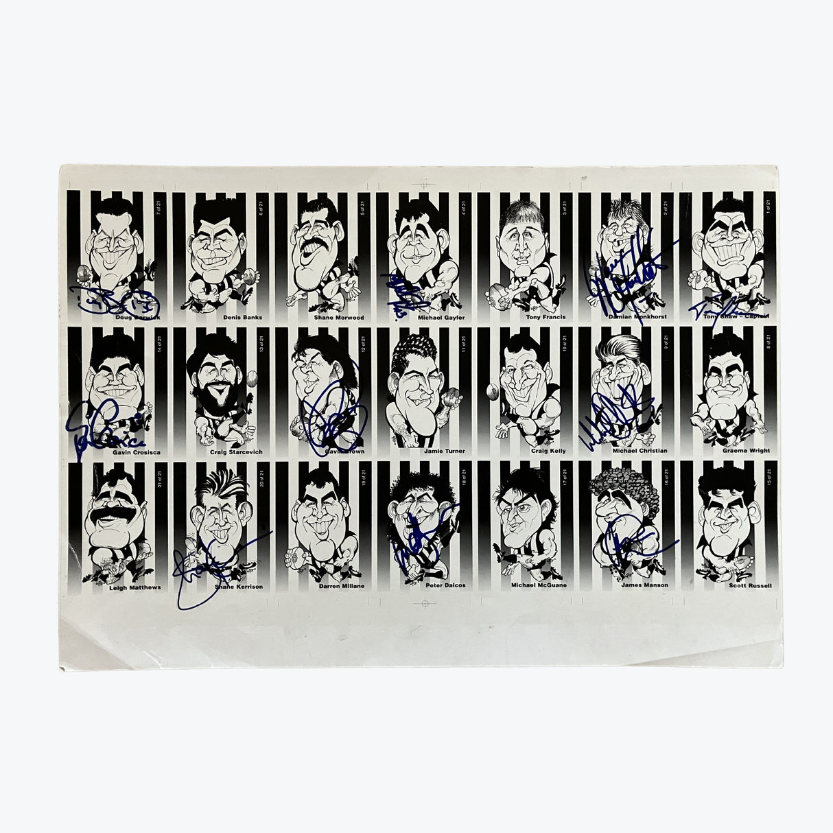 WEG Collector Cards 1990