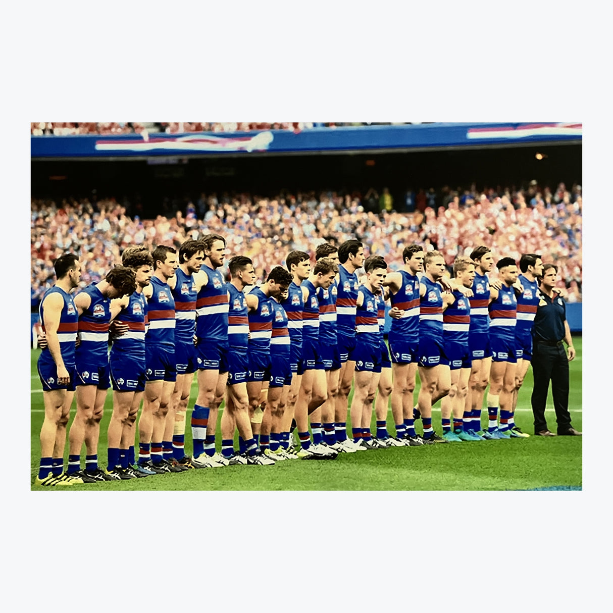 2016 AFL Premiers