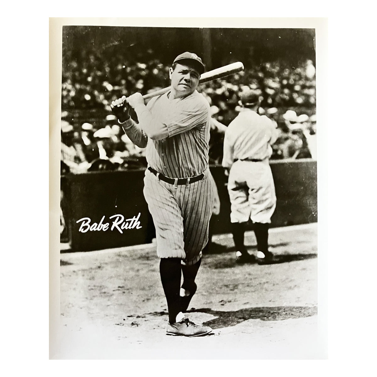 Bo Ruth Babe Ruth Photo – Blue Tongue Boab