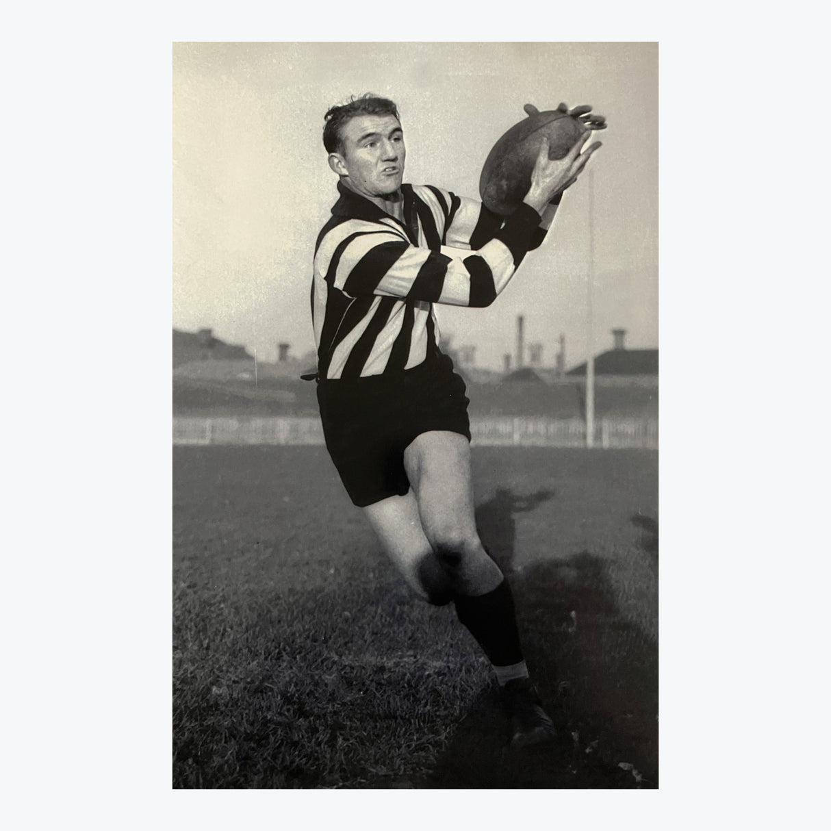 Bob Rose