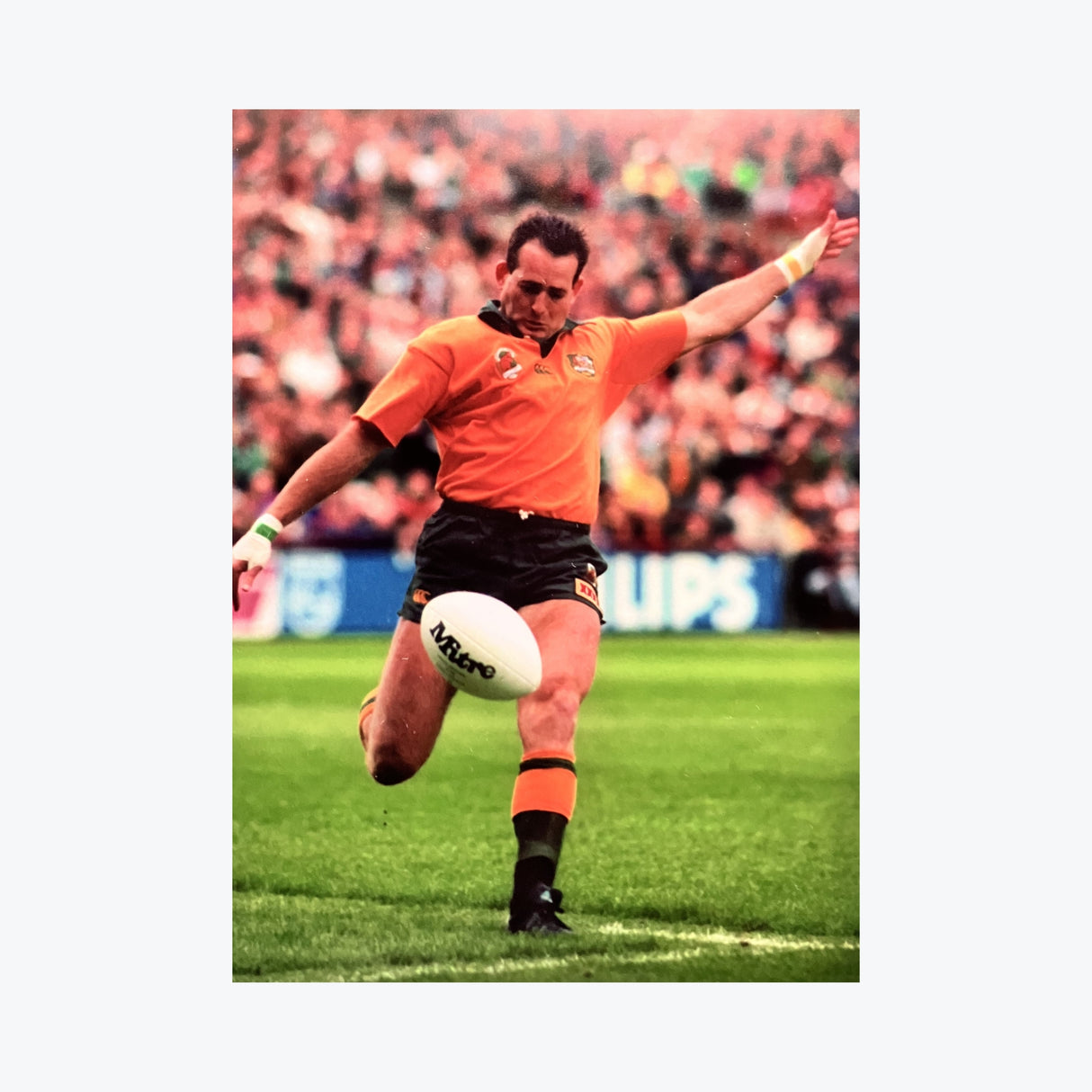David Campese