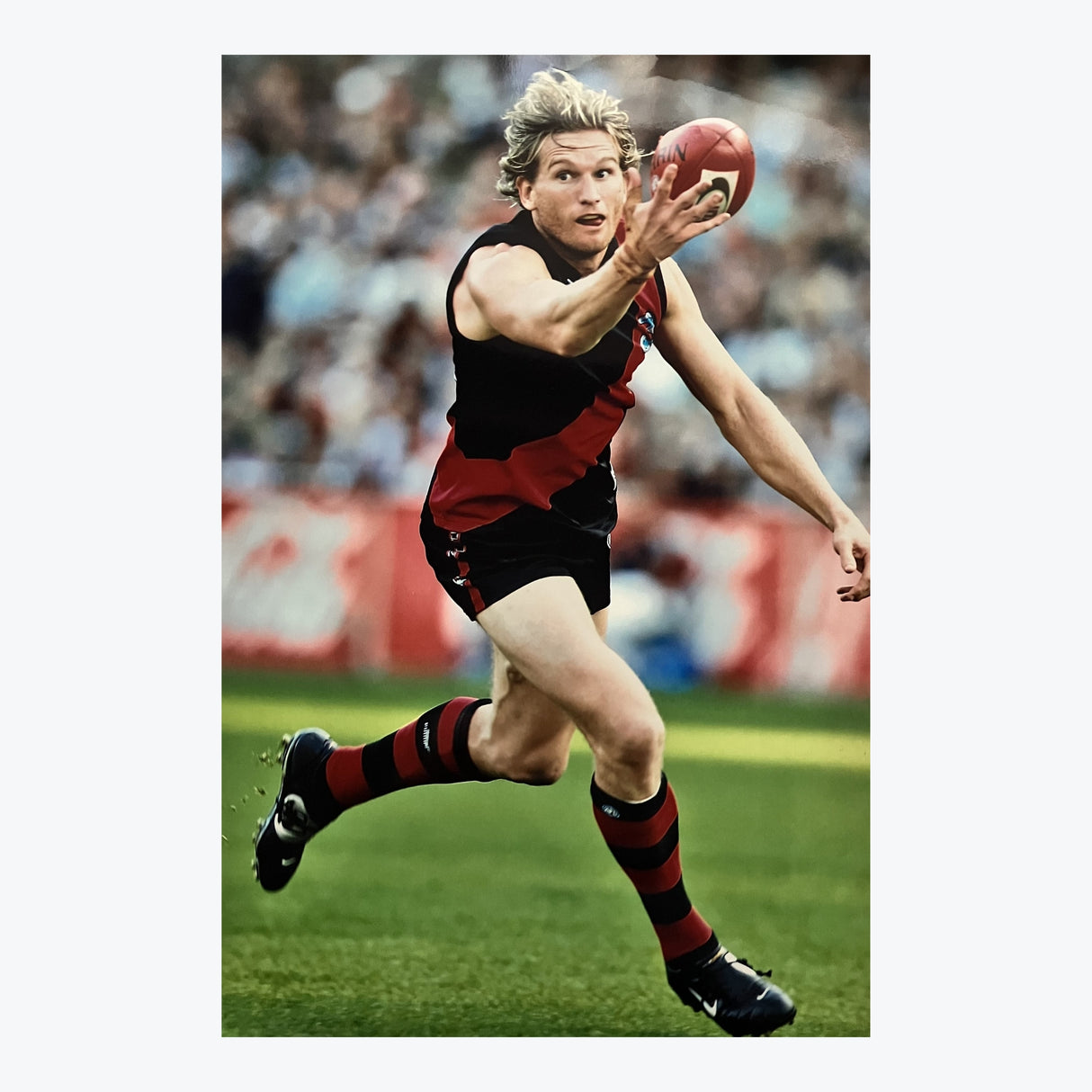 James Hird