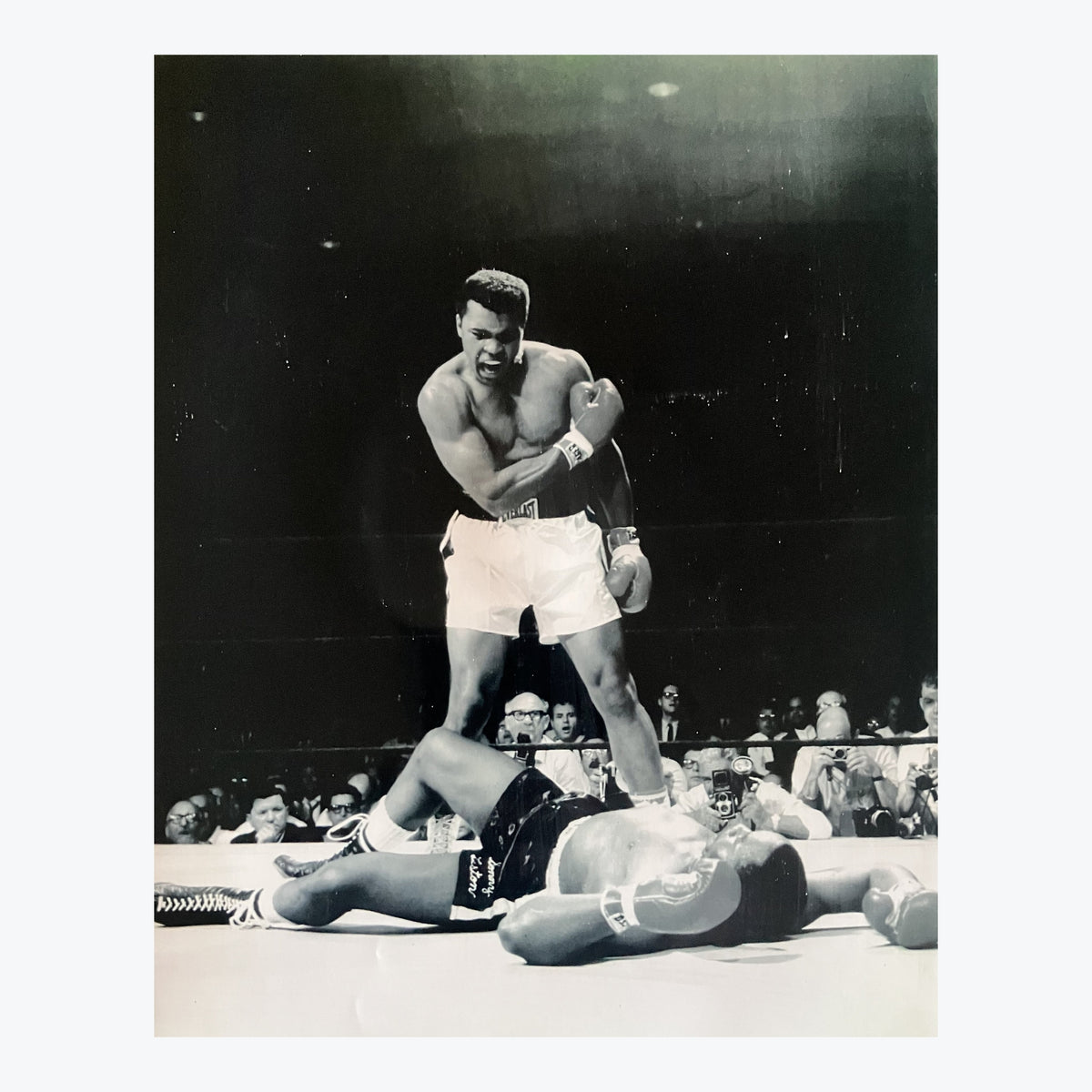 Muhammad Ali – Blue Tongue Boab