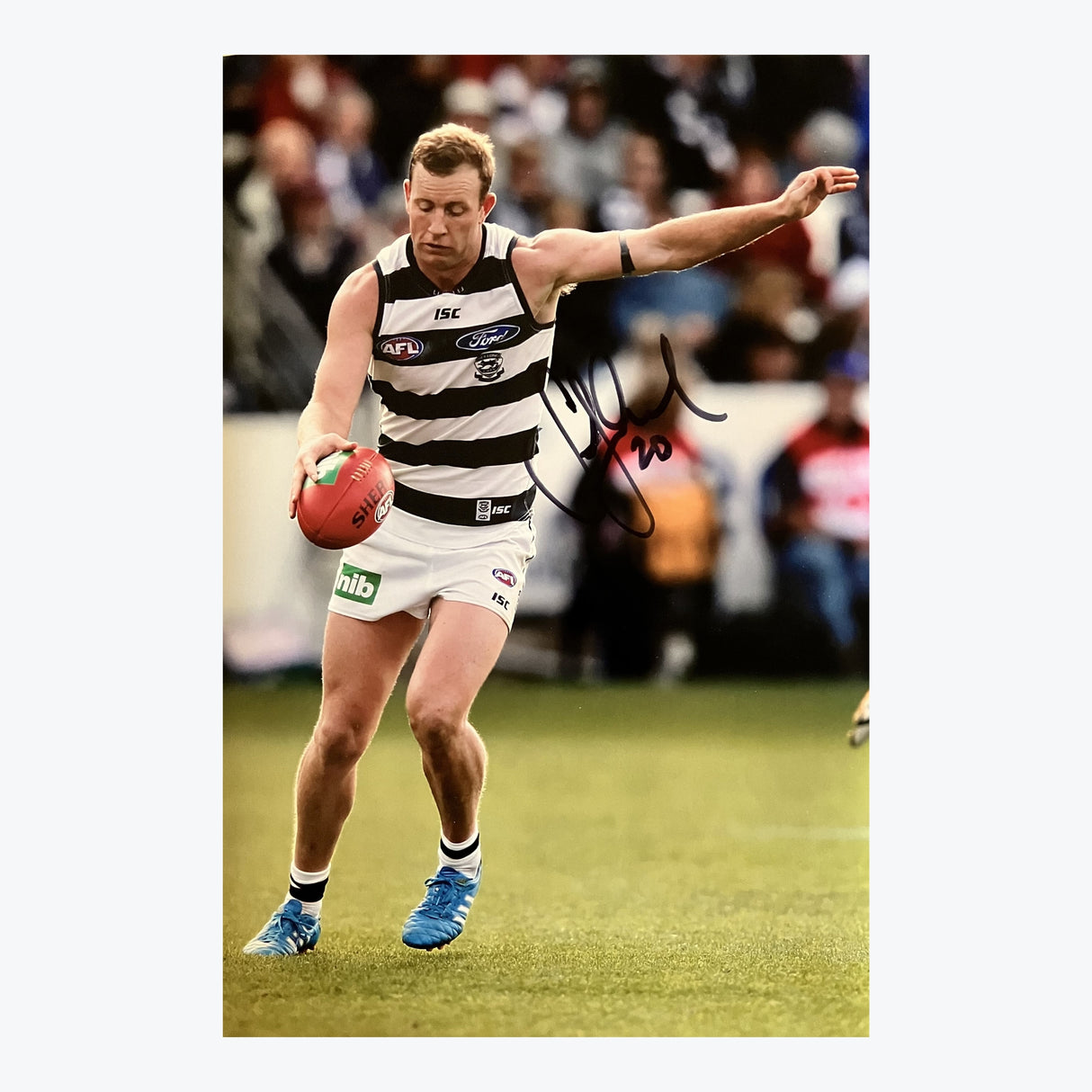 Steve Johnson
