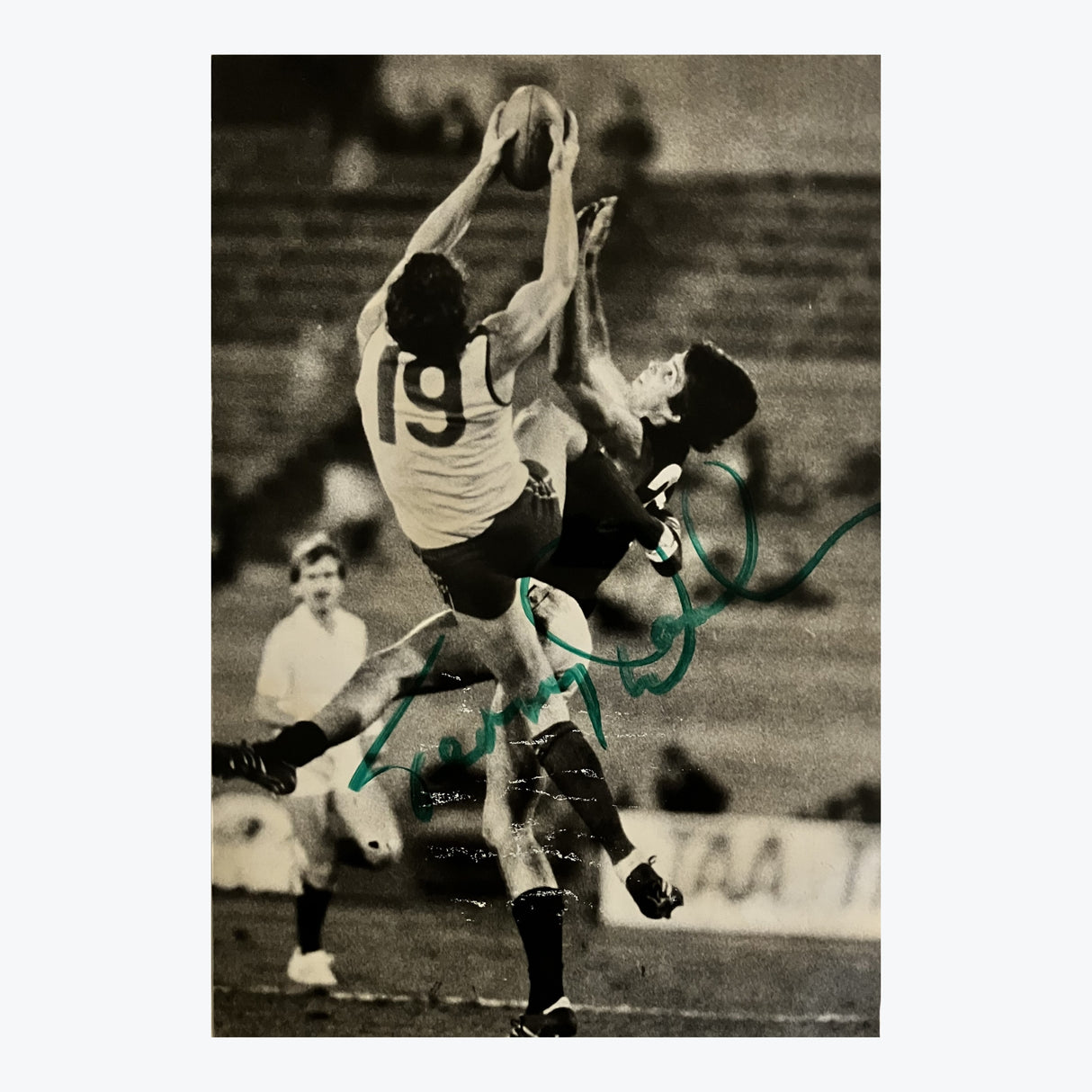 Terry Daniher